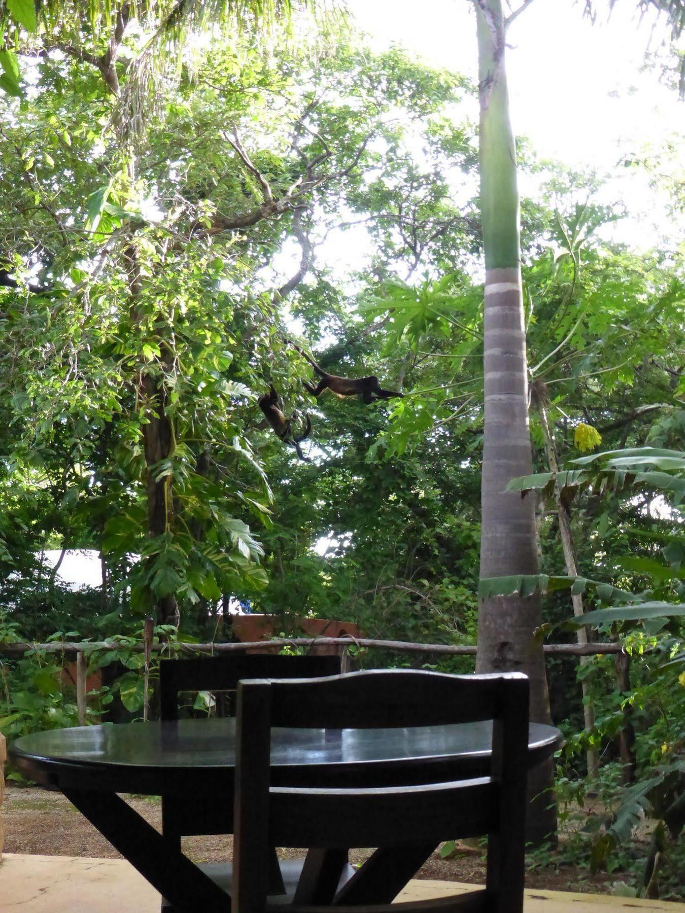 Mundo Milo Eco Lodge Paraíso Exterior foto